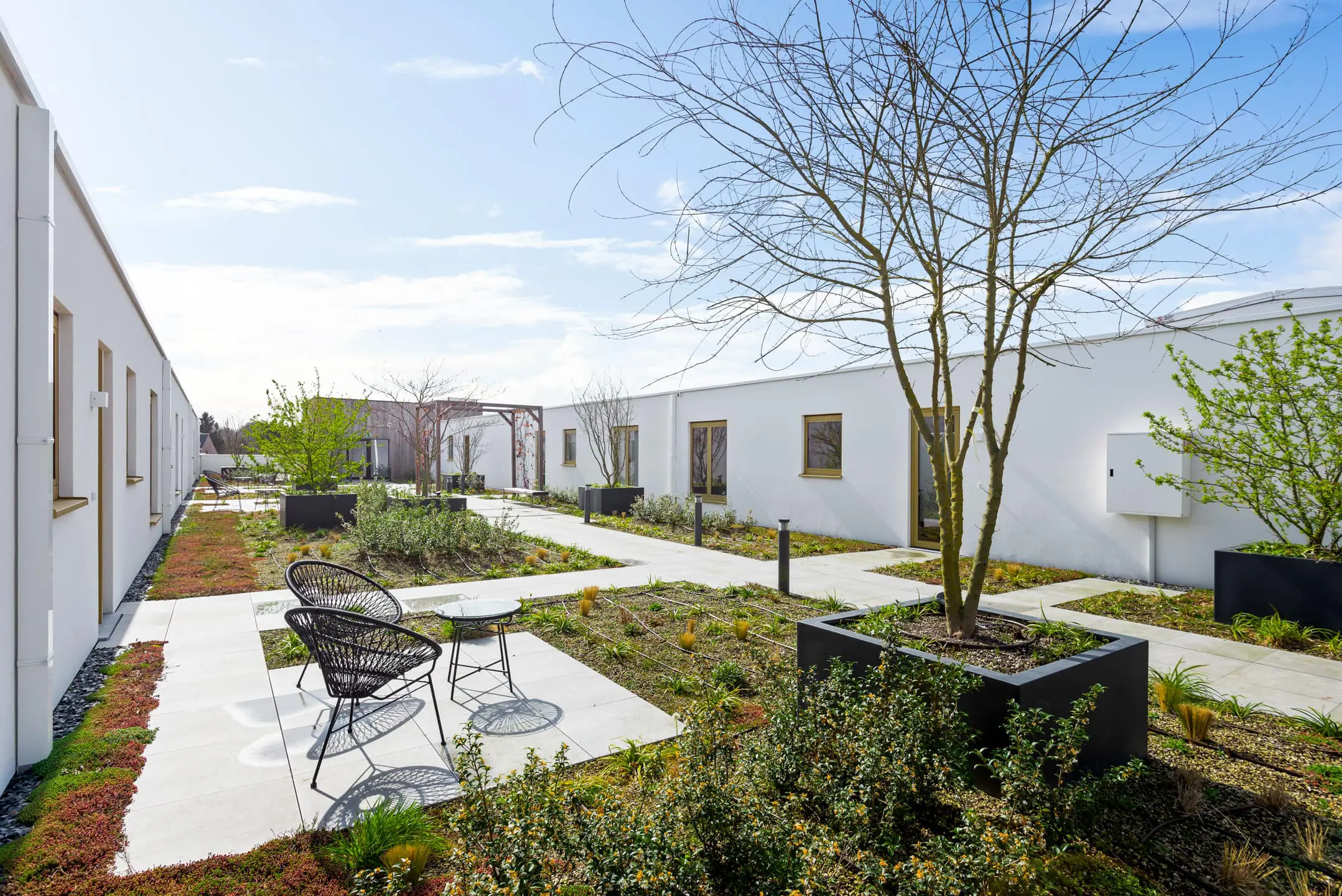 daktuinwoningen 2-min